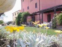 Appartement - Begane Grond