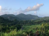 Passion Du Paradis972 - B&B Rivière-Pilote