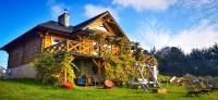 Winnica Nad Źródłem - Domki w winnicy z kominkami i tężniami - Chambres d'hôtes Sierzawy