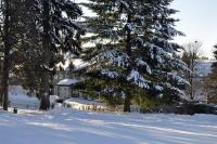 Gästehaus Harzluft / Gruppenferienhaus - Ferienwohnung St. Andreasberg