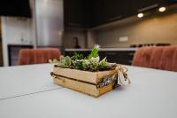 Elegant escape in Chisinau! - Ferienwohnung Chişinău