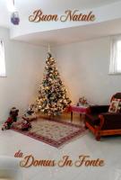 Domus In Fonte - B&B Scafati