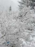 Gasthof Alte Schmiede G*** Lückendorf - B&B Luftkurort Lückendorf