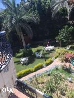 Cheerful villa with pool in Alexandria (El agami) - Bed and Breakfast