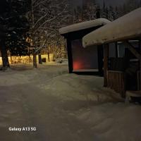 A room (or 2 or 3) in a Lapland House of Dreams - Chambres d'hôtes Rovaniemi