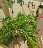 Hermosa Suites #2 in the heart of PUNTA CANA - B&B