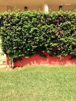 Playa Sol Apartment - Chambres d’hôtes Denia