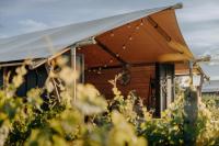 Villas & Vines Glamping - B&B Hastings