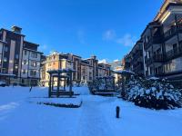 Elinor Apartment - Downtown - Ferienwohnung Bansko