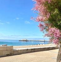 Seaside Snug, by the beach, in central Worthing with Parking - B&B