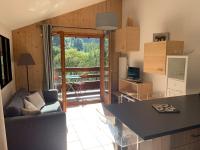 Appartement vue piste de ski - B&B