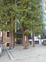 Cozy Apartment Zlatibor - B&B Čajetina
