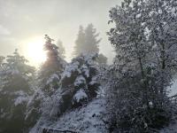 Duplex La Plagne - Montchavin, 4 Pièces, 8 pers - Pied des pistes, Sunday to Sunday ONLY - Bed and Breakfast