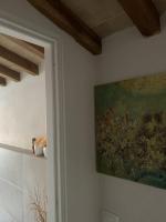 Appartamento luminoso e silenzioso centro Firenze - Ferienwohnung Florenz