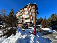 Pine Tree one bedroom apartment - B&B
