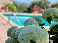 Le case di Lisetta Holiday homes - B&B Corciano