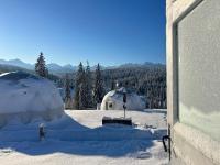 Tatra Glamp Bukowina Tatrzańska - Sieć noclegowa Tatra Glamp - B&B Bukowina Tatrzańska