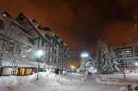 NevSki Apartments - Bed and Breakfast