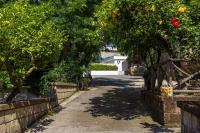 Sorrento Villa with Pool and Amazing Views - B&B Massa Lubrense