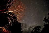 Habitación Doble Deluxe con balcón