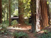 The Groves at Redway Beach - Craftsman - Bed and Breakfast Redway