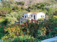 Villetta Sant'Andrea - Goelba - B&B Sant'Andrea