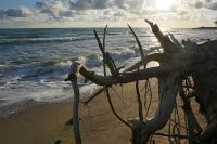 Panama - B&B Roccatederighi