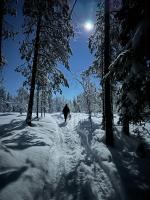 Apartment mit 1 Schlafzimmer