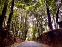 Celajes del Poás - B&B Poás