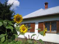 Almafás Vendégház Őrség - B&B