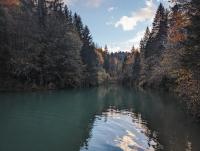 Studio apartman Singer - B&B Vrbovsko