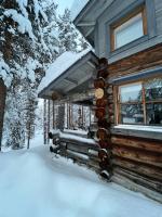 Rauhallinen kelohuoneisto lähellä palveluita, Peacefull Log apartment at Ylläs - B&B Ylläsjärvi