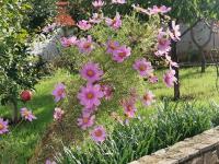 Holiday House Lea - Chambres d’hôtes Pula