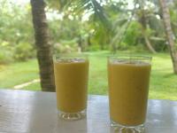 Sonya Garden View - Chambres d’hôtes Weligama