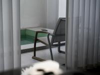 Mokha forest house - B&B