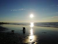 Beautiful 2 bedroom beach getaway - B&B Pevensey