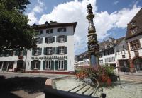 B&B Basilea - Spalenbrunnen Hotel & Restaurant Basel City Center - Bed and Breakfast Basilea