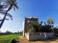 B&B Louxor - Dream Garden Luxor - Bed and Breakfast Louxor