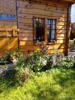 El Nogal Viedma - Bed and Breakfast Viedma