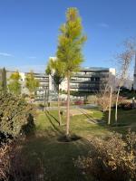 Departamento Veneto Village - D - - Ferienwohnung Villa Parque Síquiman