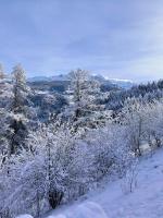 Résidence Le Rami Les Coches - La Plagne - Ferienwohnung La Plagne Tarentaise