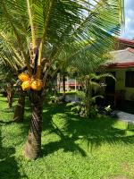 Jasmin Homestay Marakolliya - B&B Tangalle