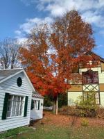 The Cottage in East Poultney - B&B Poultney
