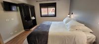 Studio mit Queensize-Bett