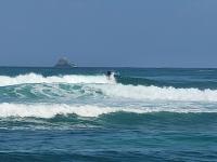 le TI-ANOLIS tartane martinique - B&B La Trinité
