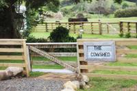 B&B Whitianga - The Cowshed - Bed and Breakfast Whitianga