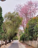 Camera Quadrupla con Vista Lago