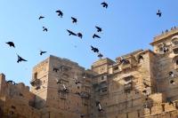 Martine guest house - B&B Jaisalmer