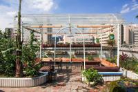 Arthur's Roof-Top - Ferienwohnung