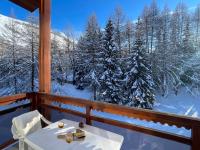 Chez l'Oncle de l'Alpe Apt 4 pers parking gratuit - Ferienwohnung Les Deux Alpes